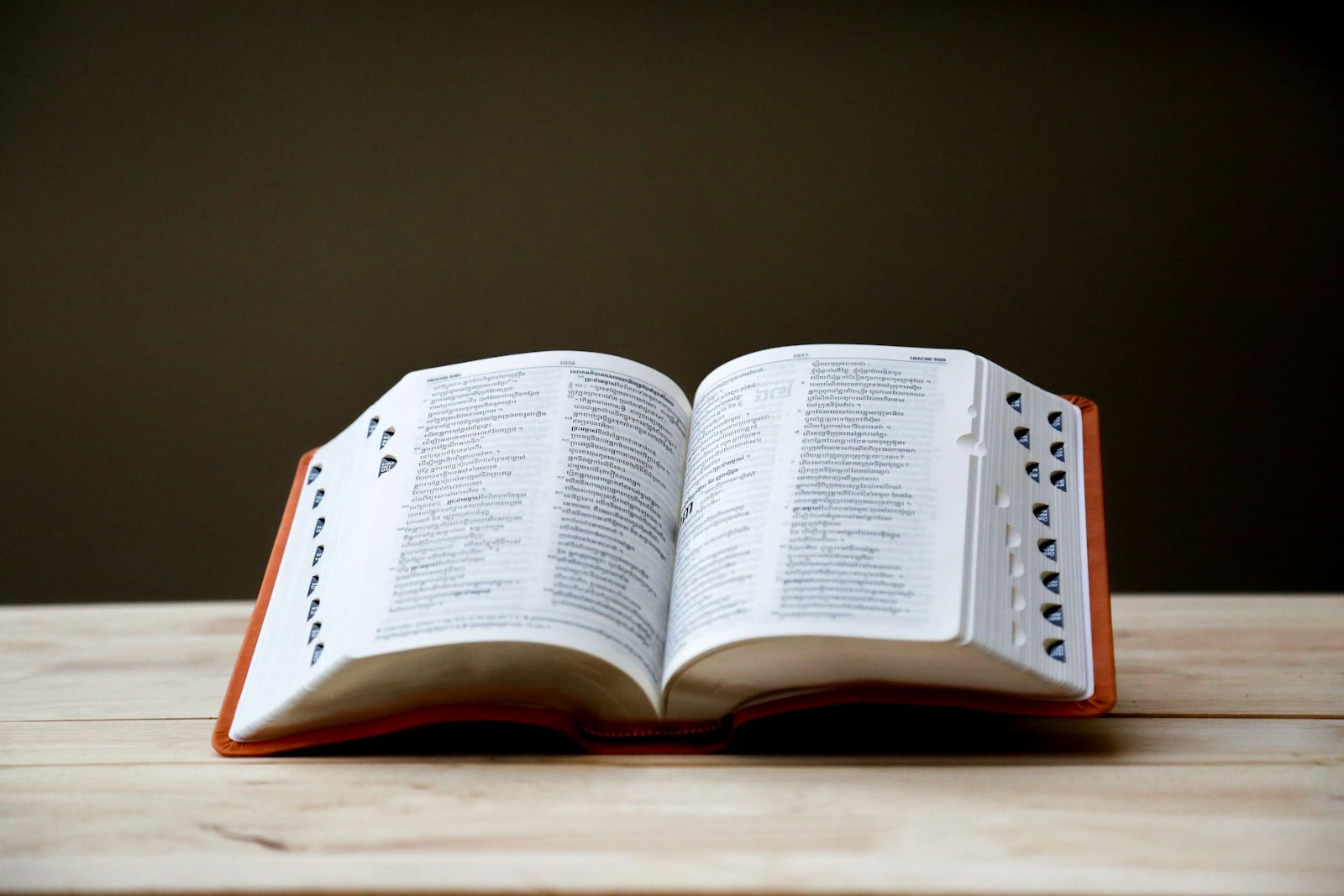 Tschechisch Wörterbuch