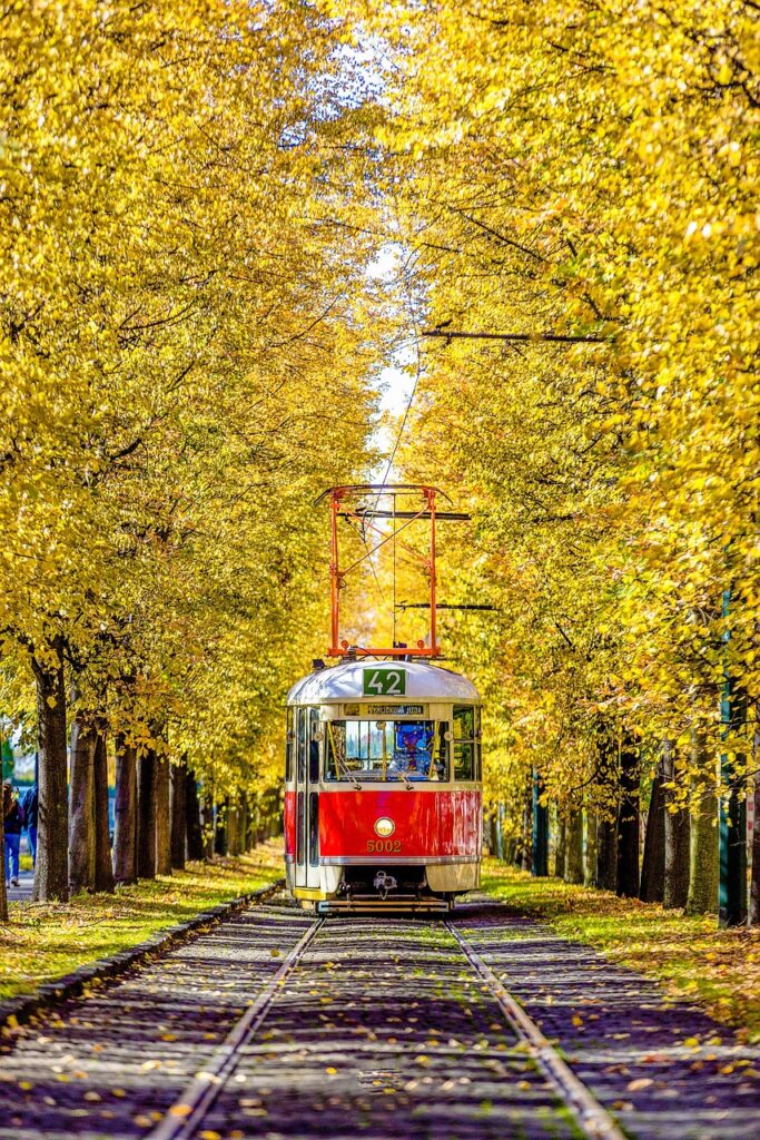 Straßenbahn