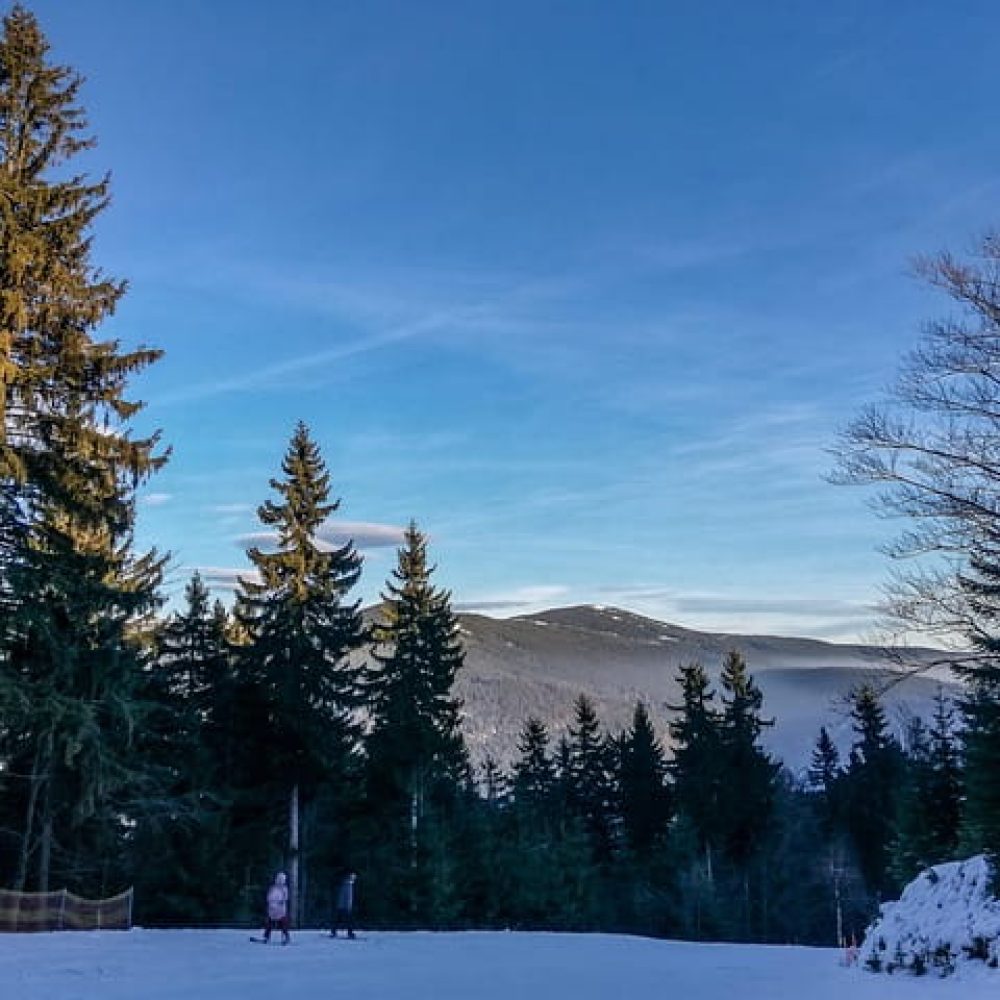 harrachov